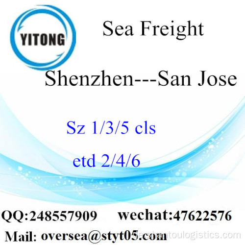 Shenzhen Hafen LCL Konsolidierung nach San Jose